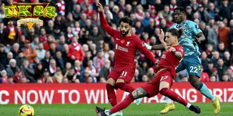 nhan dinh southampton Nhận định Southampton